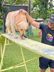 A dog trained by his trainer